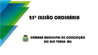 25ª Reunião Ordinária- 10/08/2021